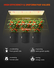 Load image into Gallery viewer, Spider Farmer® SF300 33W Grow Lights For Indoor Plants