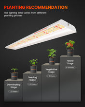 Load image into Gallery viewer, Spider Farmer® SF600 Grow Lights For Indoor Plants