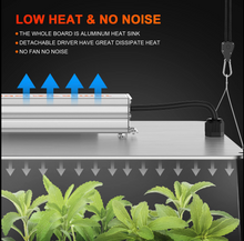 Load image into Gallery viewer, 2025 Newest Version Spider Farmer® 2’x2′X4.6′ Complete Grow Tent Kit丨SF1000D Full Spectrum LED Grow Light丨6” Clip Fan丨4” Ventilation System with Speed Controller