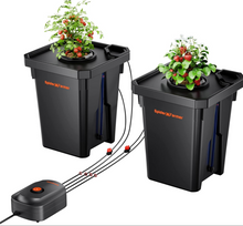 Load image into Gallery viewer, Spider Farmer DWC Hydroponics Grow System with Top Drip Kit 7 Gallon Deep Water Culture with 8W Air Pump 2 Buckets