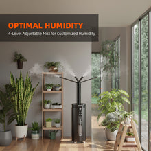 Load image into Gallery viewer, V3 Upgraded Spider Farmer® 8’x4’x6.5′ 240cm x 120cm x 200cm Indoor Grow Tent 1680D Hydroponic Plant Room for Optimal Plant Growth & Climate Control