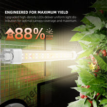 Load image into Gallery viewer, Spider Farmer Glow30 32W Full Spectrum Side Lighting LED Grow Light Bars 13”, 4-Bar Kit, Boosts Lower Bud Growth &amp; Yield,Ideal for Cloning, Veg &amp; Flowering in Indoor Plants &amp; Grow Tents
