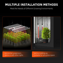 Load image into Gallery viewer, Spider Farmer® GlowR80 80W Deep Red Spectrum 660nm Supplemental LED Grow Light for Indoor Plants,Hanging Plug in Grow Lamp for Hydroponic Greenhouse Plants Seedling Veg

