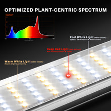 Load image into Gallery viewer, New Spider Farmer®SE1000W LED Grow Light Bluetooth &amp; WiFi Smart APP Control Dimmable Commercial Vertical Farming

