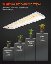 Load image into Gallery viewer, Spider Farmer® SF300 33W Grow Lights For Indoor Plants
