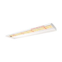 Load image into Gallery viewer, Spider Farmer® SF300 33W Grow Lights For Indoor Plants
