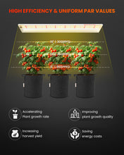Load image into Gallery viewer, Spider Farmer® SF600 Grow Lights For Indoor Plants
