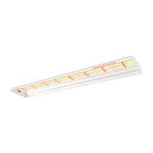 Load image into Gallery viewer, Spider Farmer® SF600 Grow Lights For Indoor Plants
