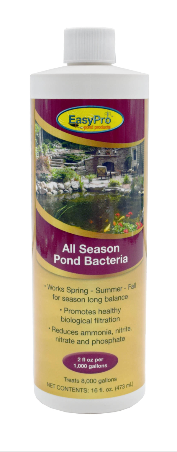 ASB16 All Season Liquid Bacteria – 16 oz. (1 pint)