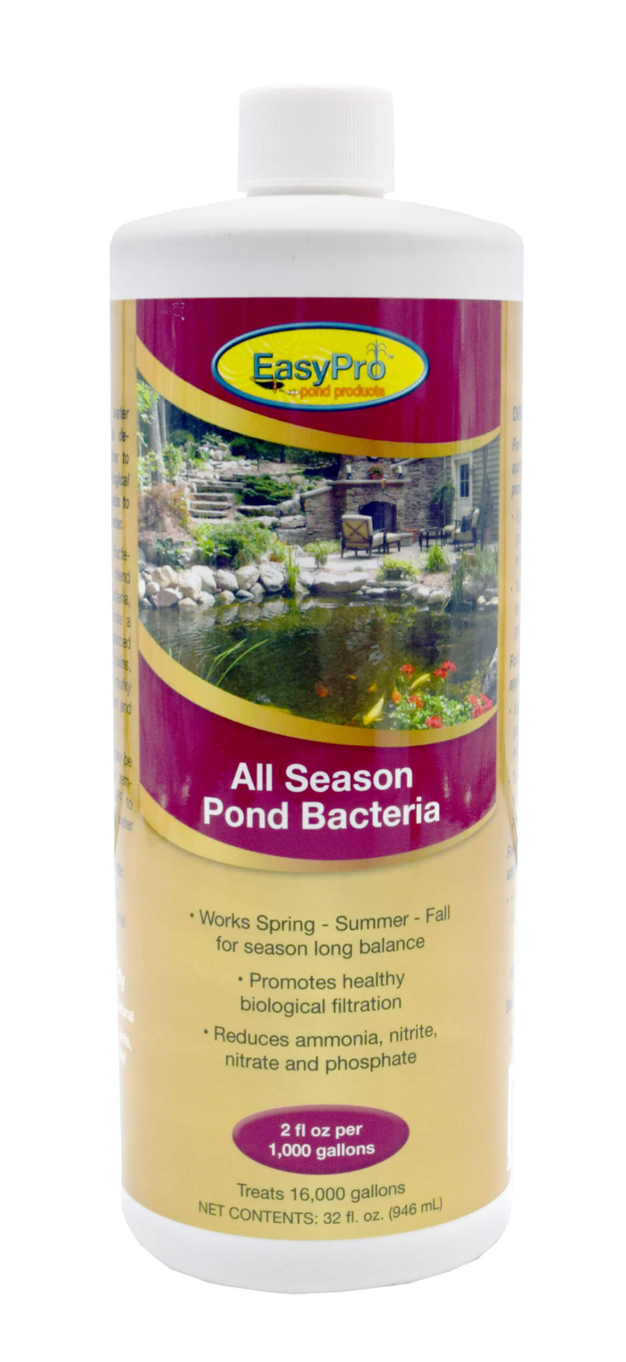 ASB16 All Season Liquid Bacteria – 16 oz. (1 pint)