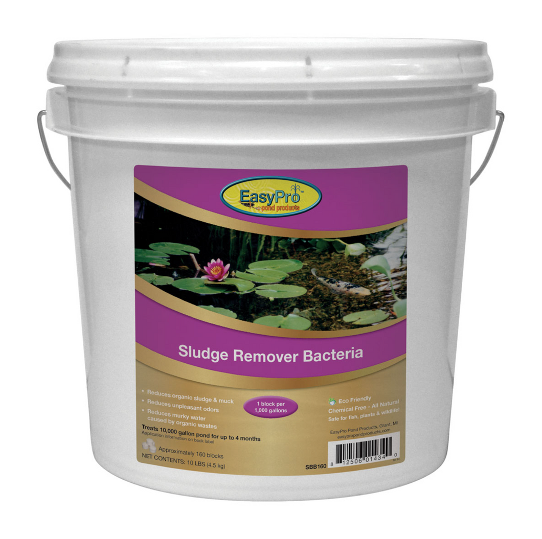 SBB160 Sludge Remover Bacteria – 10 lbs. 1oz Blocks