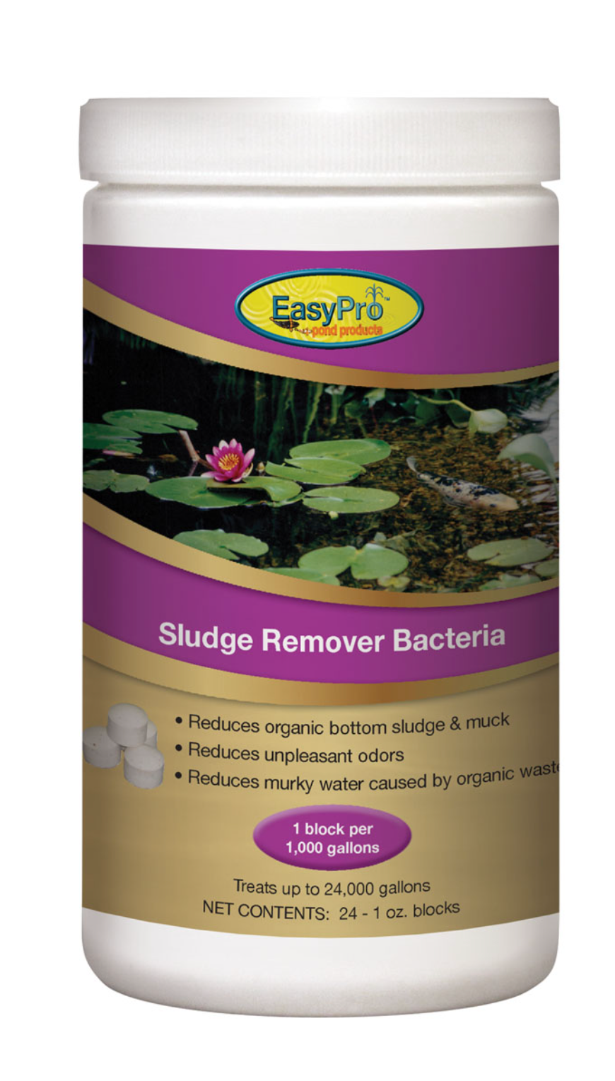 SBB24 Sludge Remover Bacteria – 24ct. 1oz Blocks