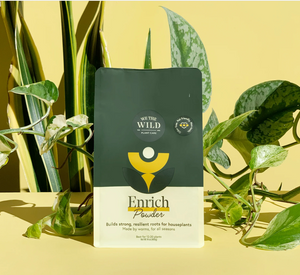 Enrich Slow Release Houseplant Food