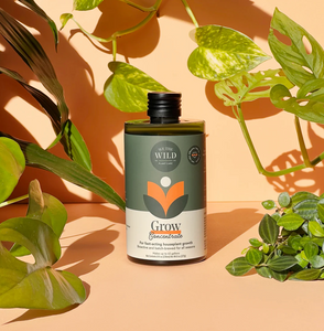 Grow Fast Acting Houseplant Food