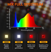 Load image into Gallery viewer, 2025 Newest Version Spider Farmer® 2’x2′X4.6′ Complete Grow Tent Kit丨SF1000D Full Spectrum LED Grow Light丨6” Clip Fan丨4” Ventilation System with Speed Controller
