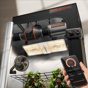 Black Friday Price Guarantee丨2025 Newest Version Spider Farmer® 2’x4’ Complete Grow Tent Kit丨SF2000 301H EVO Full Spectrum LED Grow Light丨6” Clip Fan丨4” Ventilation System with GGS Controller