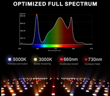 Load image into Gallery viewer, Black Friday Price Guarantee丨2025 Newest Version Spider Farmer® 2’x4’ Complete Grow Tent Kit丨SF2000 301H EVO Full Spectrum LED Grow Light丨6” Clip Fan丨4” Ventilation System with Speed Controller
