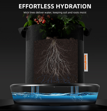 Load image into Gallery viewer, Spider Farmer 2 Self-watering System Kits For Use In Indoor Grow Tents, Greenhouses
