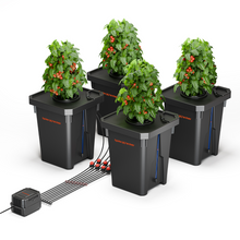 Load image into Gallery viewer, Spider Farmer DWC Hydroponics Grow System with Top Drip Kit 7 Gallon Deep Water Culture with 8W Air Pump 4 Buckets
