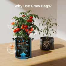 Load image into Gallery viewer, 5-Pack 10 Gallon Grow Bags Reusable Heavy Duty Fabric Pots with Handles for Mushroom &amp; Tomatoes
