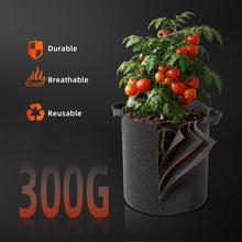 Load image into Gallery viewer, 5-Pack 10 Gallon Grow Bags Reusable Heavy Duty Fabric Pots with Handles for Mushroom &amp; Tomatoes
